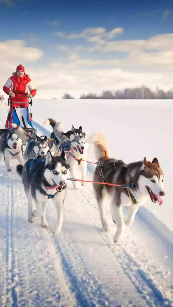 Ski Trip with Your Best Friend: A Guide