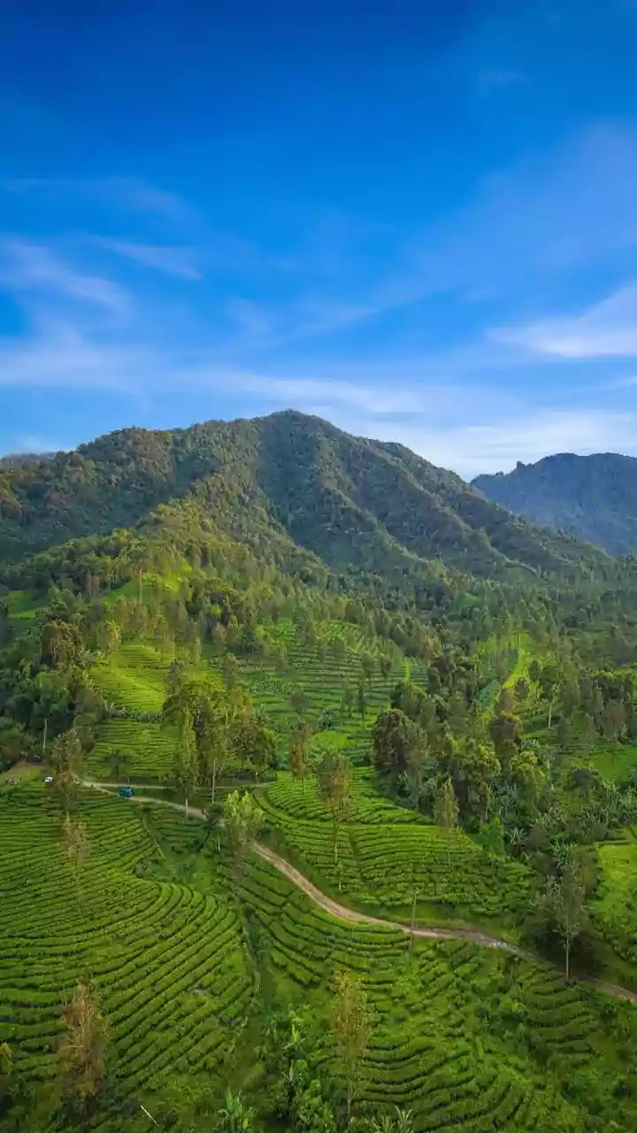 ‘Assam Was Nearly Separated From India’: PM Modi Attacks Congress, Hails First CM Bordoloi's Role