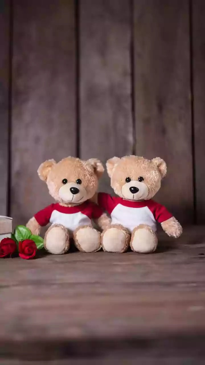 Teddy Day Gift Ideas That Bring Instant Smiles