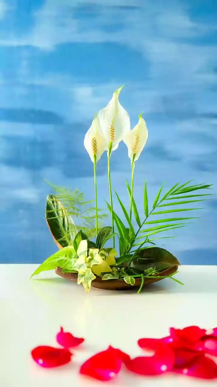 How To Celebrate Onam With A Pookkalam And Less Flower Waste