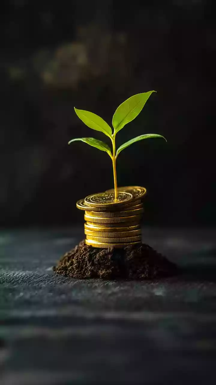 Foreign investors just pumped $650 million into India—here's what's up