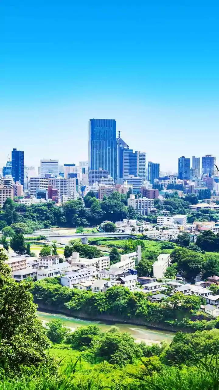 Could India Use a Backup Capital? Japan's New Law Revives the Debate