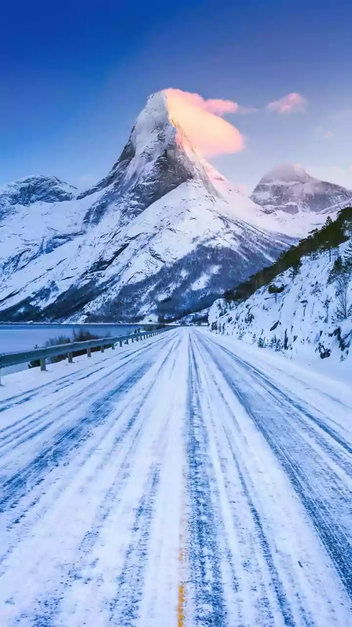 Why Putin Is Keeping Russia Out of Trump’s Greenland Ambitions