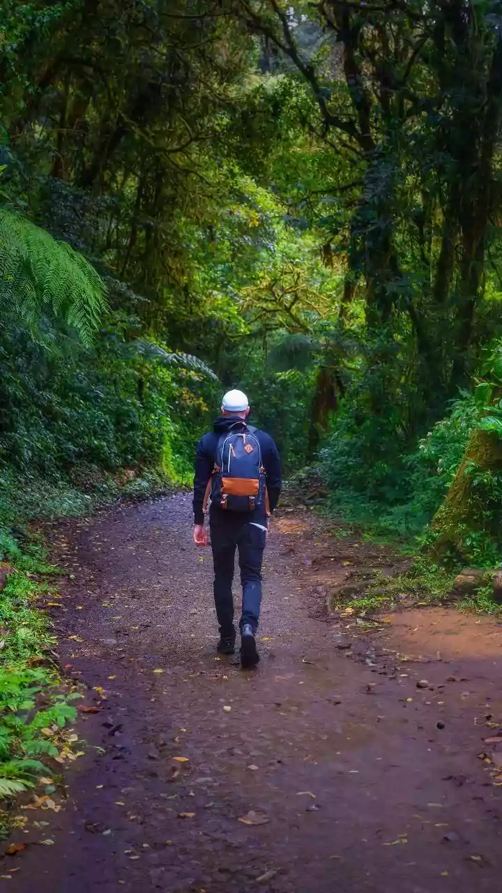 These Rainy Trails Are Pure Adventure Goals