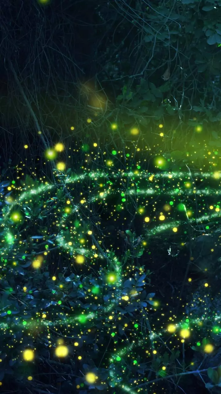 Rare elve and sprite light show filmed over Italian Alps