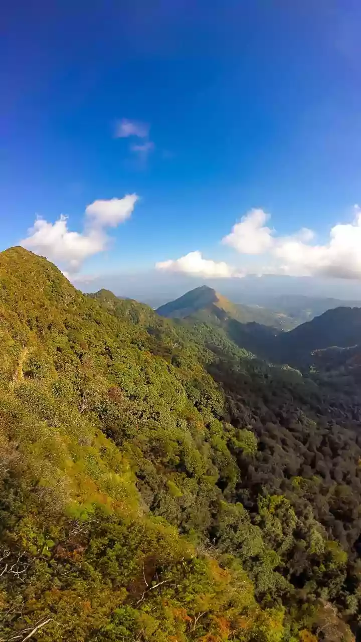 India's Forest Ecosystems Face Fresh Climate Questions Over Rainfall Changes