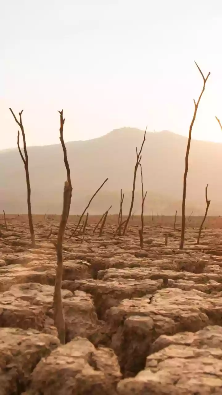 El Niño Likely to Reduce India's Monsoon Rainfall