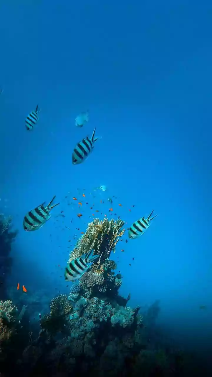 Why The Deep Ocean Is Important To Global Climate Research