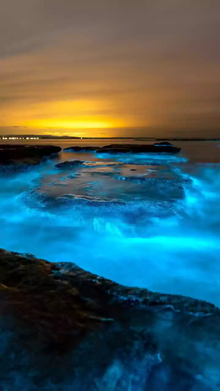 Night Sky Geeks Photograph Glowing Waves On Karnataka Coastal Beaches