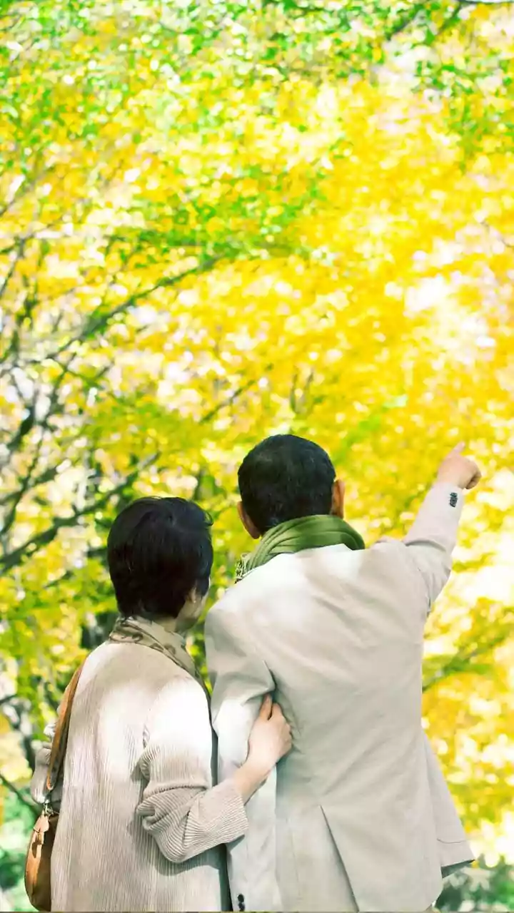 Unpacking Limerence: Obsession and Dating Dynamics