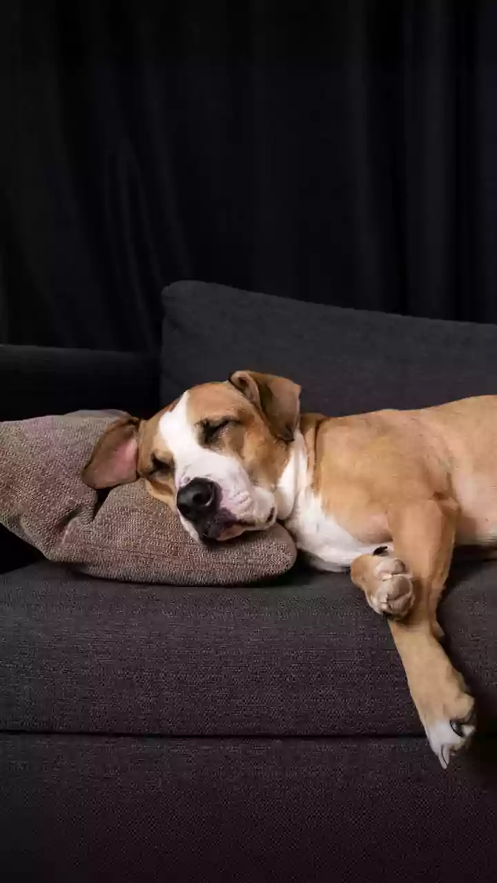 Dormir mal prejudica seu treino? Veja o impacto