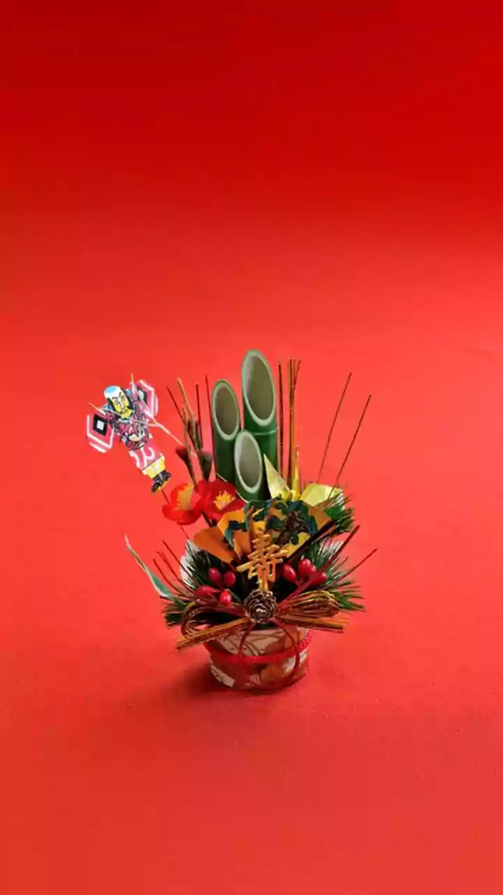 5 Habits for Longevity: Expert Insights for a Longer Life