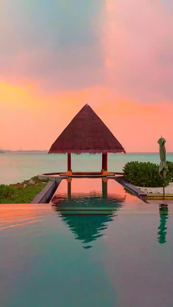 Shikhar Dhawan & Sophie's Dreamy Maldives Honeymoon: A Glimpse into Their Romantic Escape