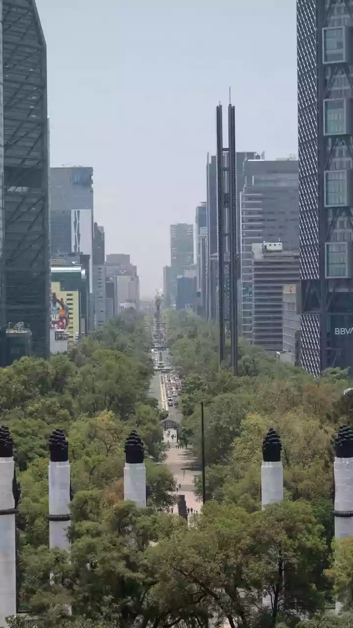 Why Terrace Reflective Coatings Are Gaining Traction For Urban Heat Island Mitigation