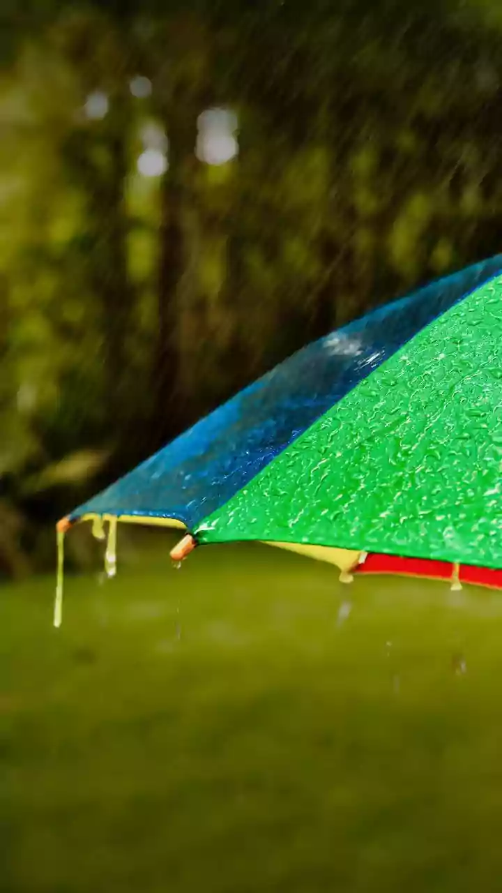 Monsoon Disruptions Need Clear Communication from Managers and Teams