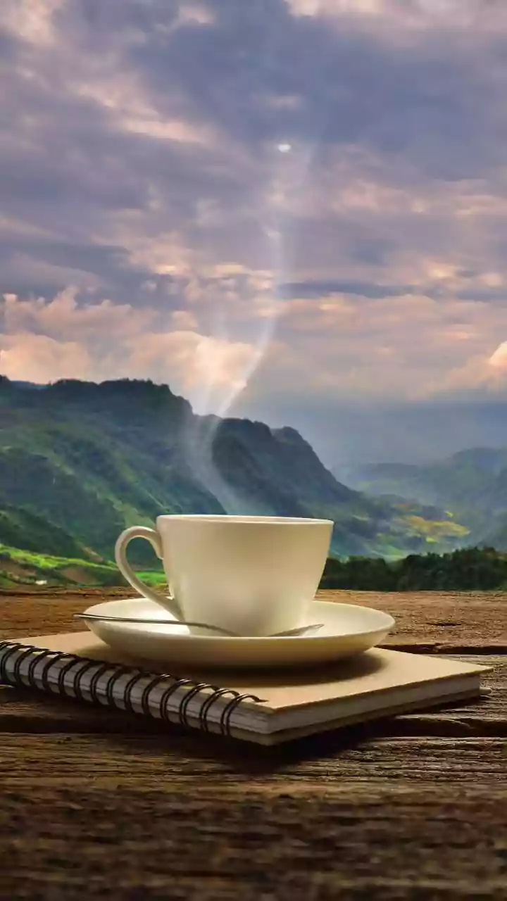 Why Smoked Herbal Brews Sourced From Sikkim High Valleys Offer Soothing Caffeine-Free Evening Hydration