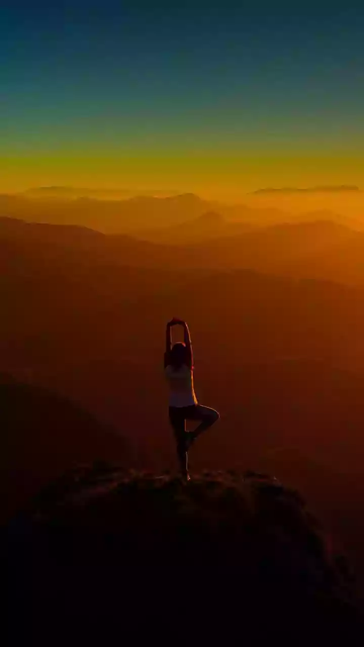 How Yoga Boosts Flexibility Simple Daily Asanas Every Beginner Can Master Today
