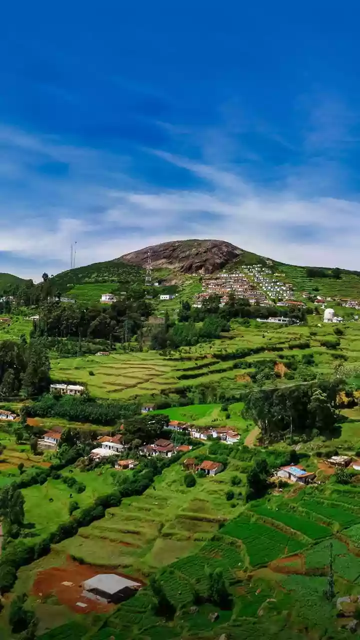 Investing in India's Rural Transformation: An Opportunity