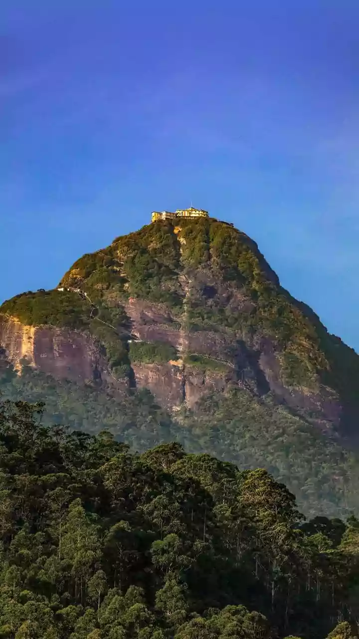 Plan A Budget 5-Day Sri Lanka Getaway Across Kandy Hills And Mirissa Oceanfronts