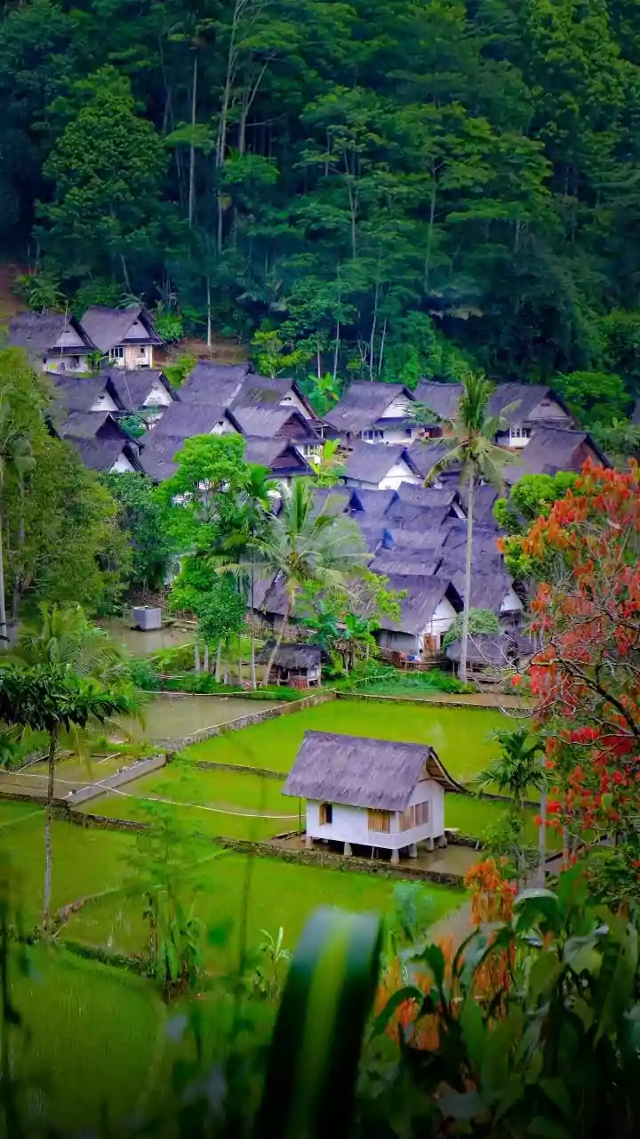 How Travelers Find Affordable Village Homestays Across Arunachal Pradesh Travel Circuits