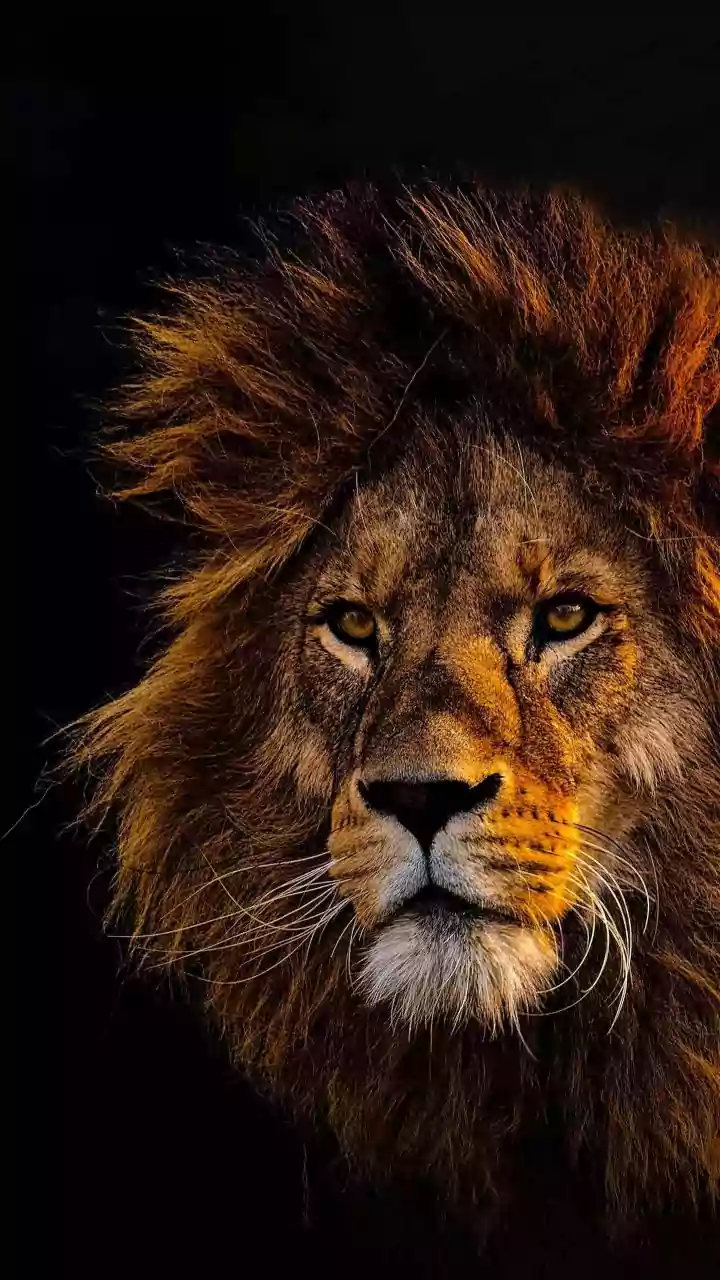 Leo's January 13, 2026: Teamwork & Skill