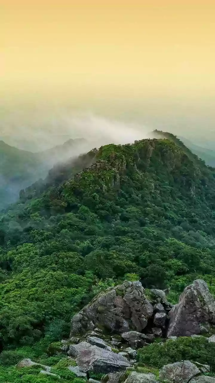 India's top court keeps in abeyance its Aravalli hills judgment, to form new expert panel