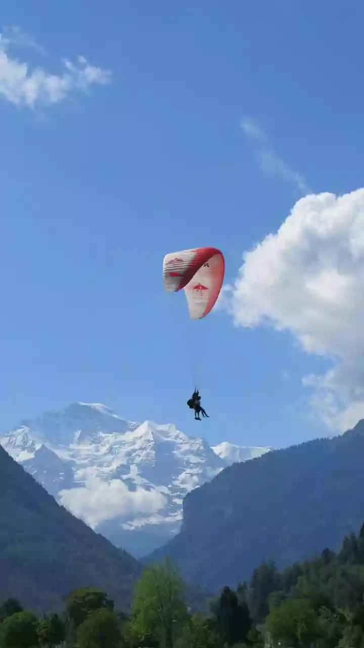 Your guide to paragliding in the French Alps