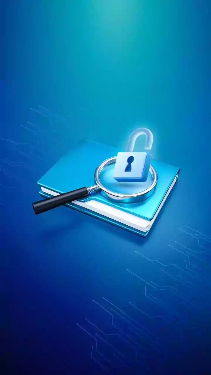 Fortifying Online Frontiers: Understanding Website Security Verification