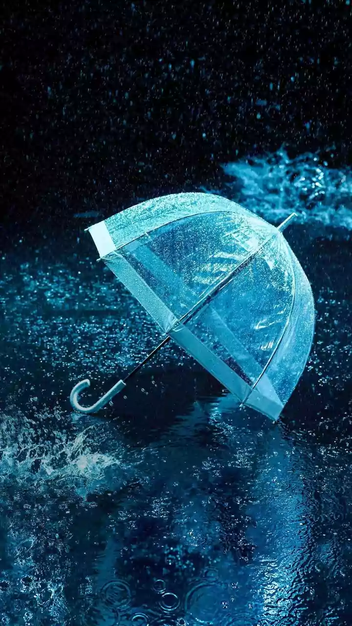 Monsoon Travel: What Insurance Policies May And May Not Cover