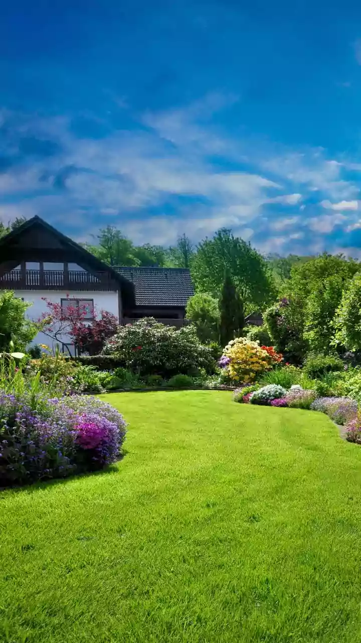 The Low-Water Gardening Shift Puts Plant Choice By Long-Term Water Needs In Focus At Home