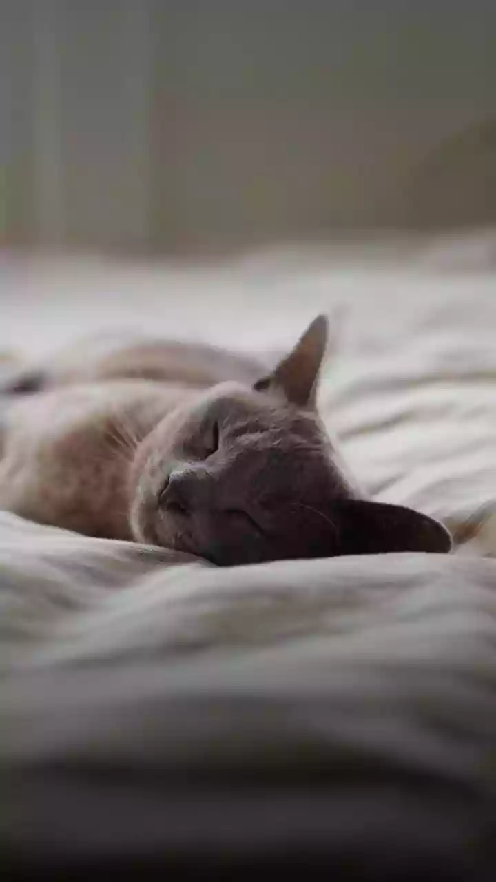 Monsoon Nights And Sleep: What High Humidity Means For Rest