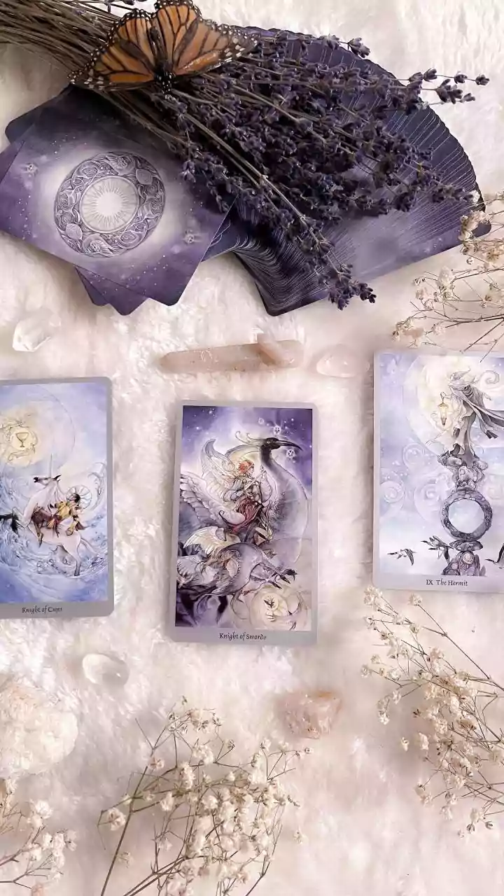 Daily Tarot Reading And Vastu Insights For Every Zodiac Sign: December 10, 2025