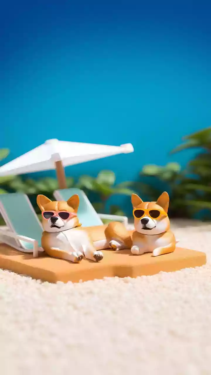 Pet Parents Book Custom Yard Boardings For Summer Travel