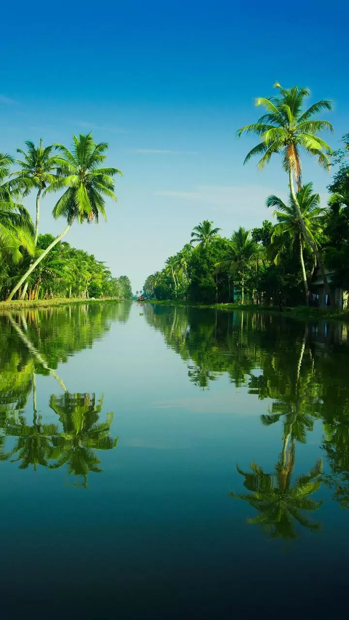 Kerala Budget 2026-27: Eyes assembly polls, announces various people-centric schemes