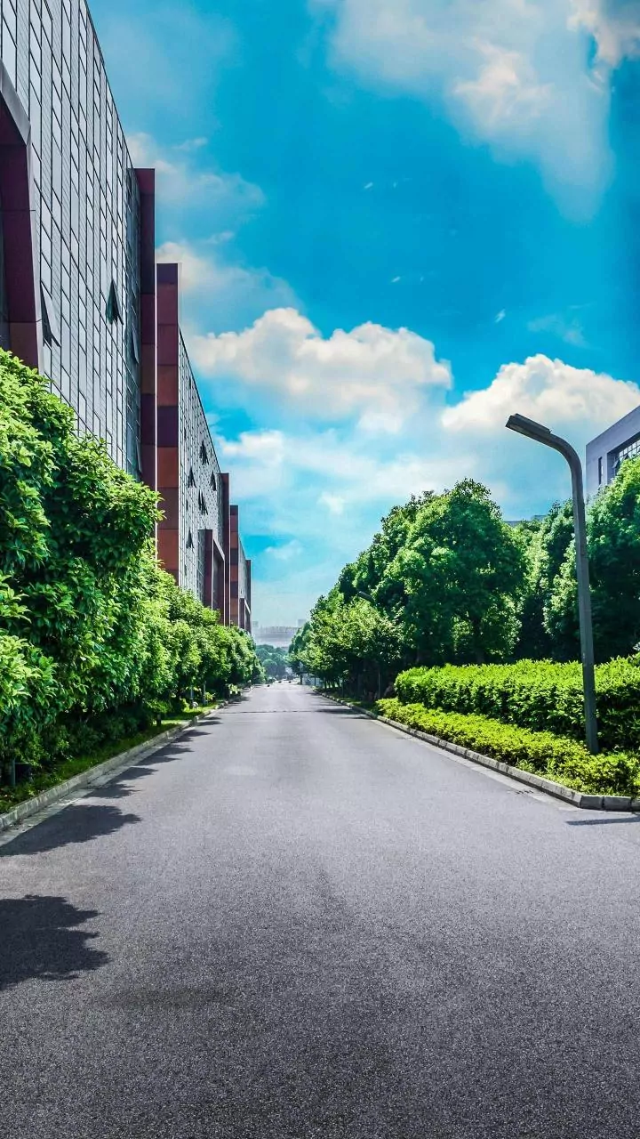 Glowing Plants Replace Streetlights: Genetically Modified Bio-Tech Reduces Municipal Energy Costs