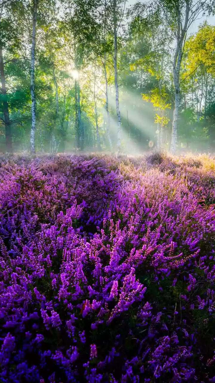 Crisp Tuesday start — tap for today’s comfort range.