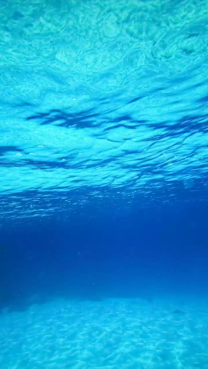The Science Behind July's Record Global Sea Heat: Persistent Marine Heat