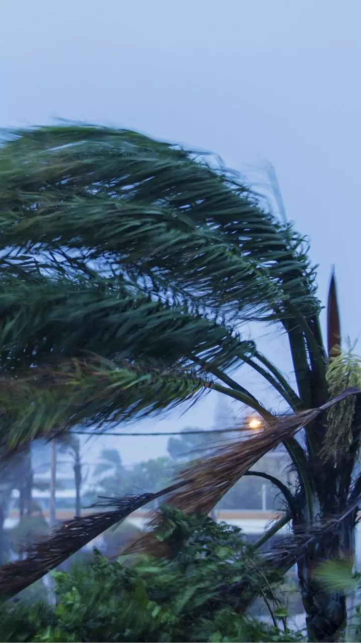 IMD warns of cyclone over Bay of Bengal