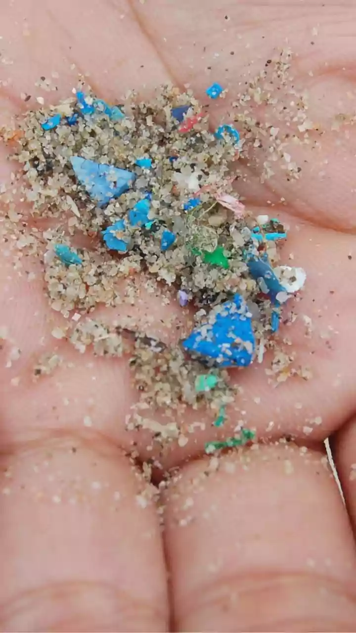 Microplastics: Silent Invaders in Human Systems?
