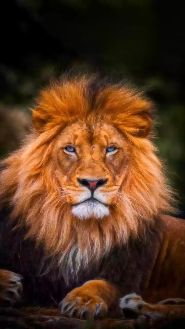 Leo Horoscope Today, April 12, 2026