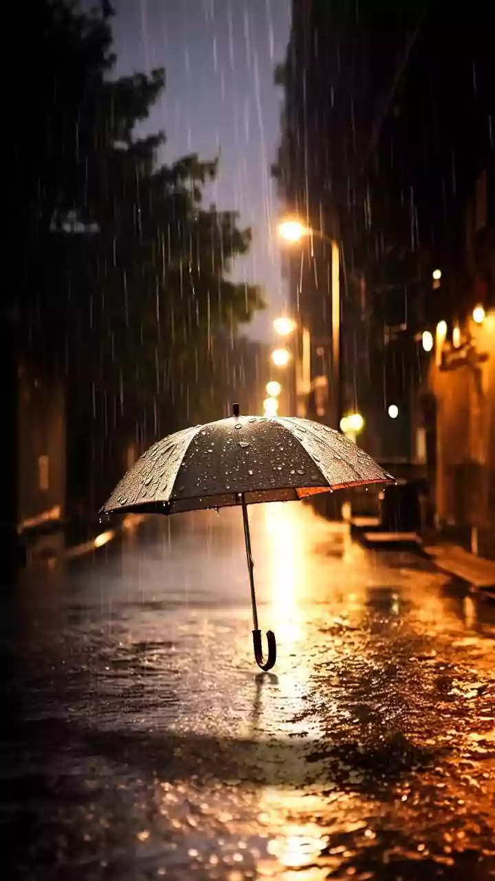 Delhi Lawyers Asked to Aid Flood Victims
