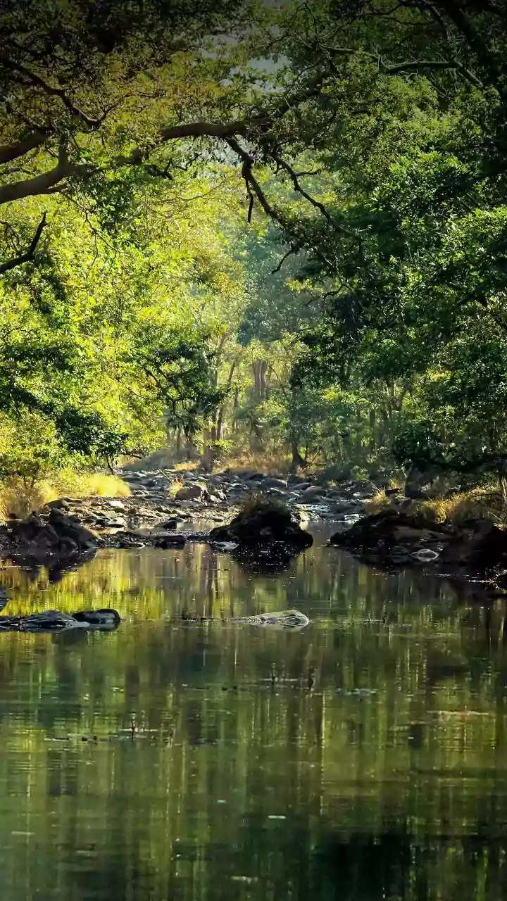 Inside Kathaa - The Forest Retreat, built by hand and guided by nature near Nashik