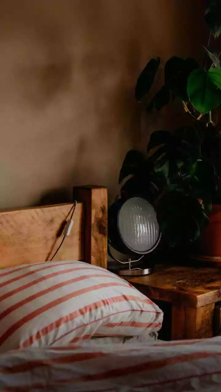 Monsoon Dampness Can Damage Paint, Wood and Stored Fabrics