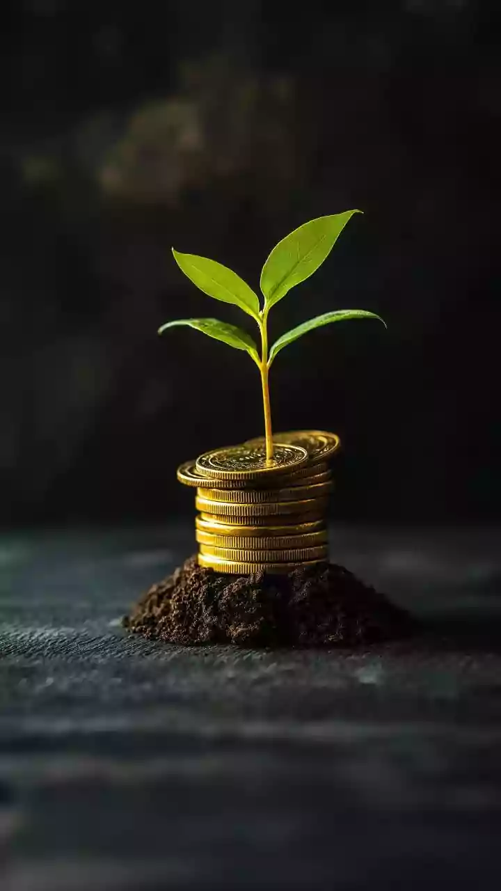 December 2025 Picks: Best Aggressive Hybrid Mutual Funds For Investors