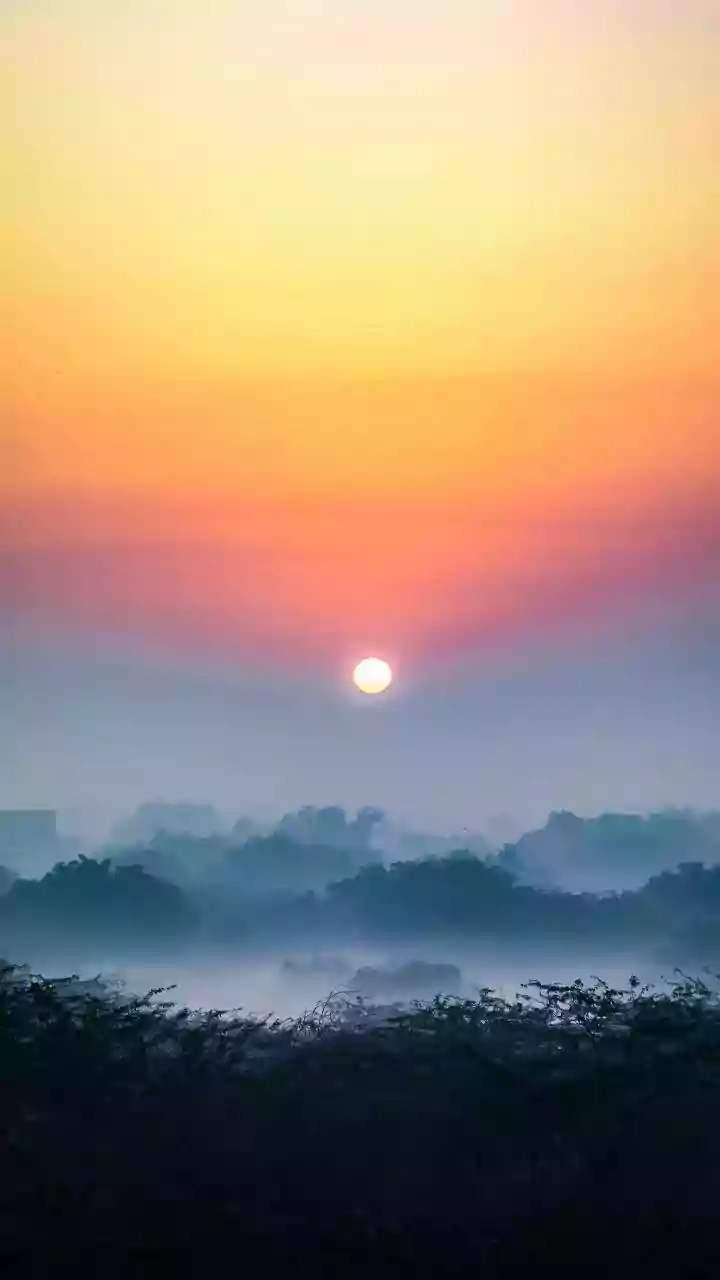 Foggy conditions prevail in several districts of Rajasthan