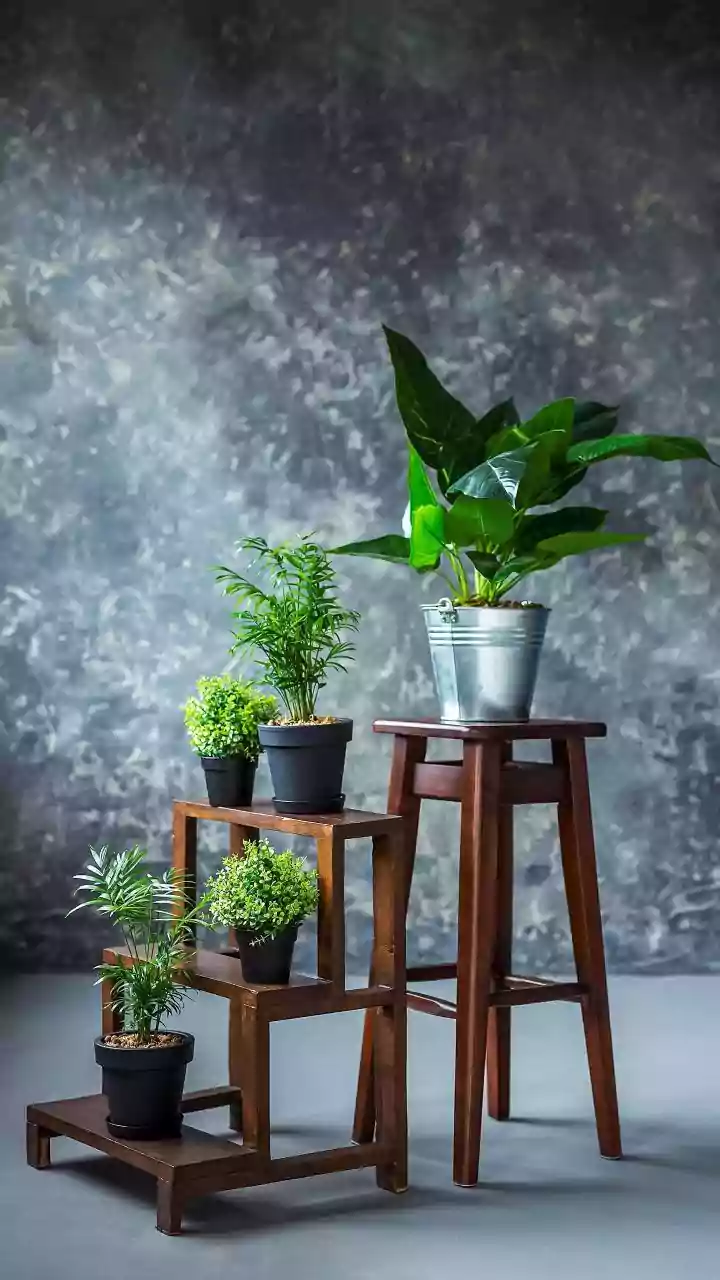 Rainy Season Plant Picks That Add Freshness Without Extra Work