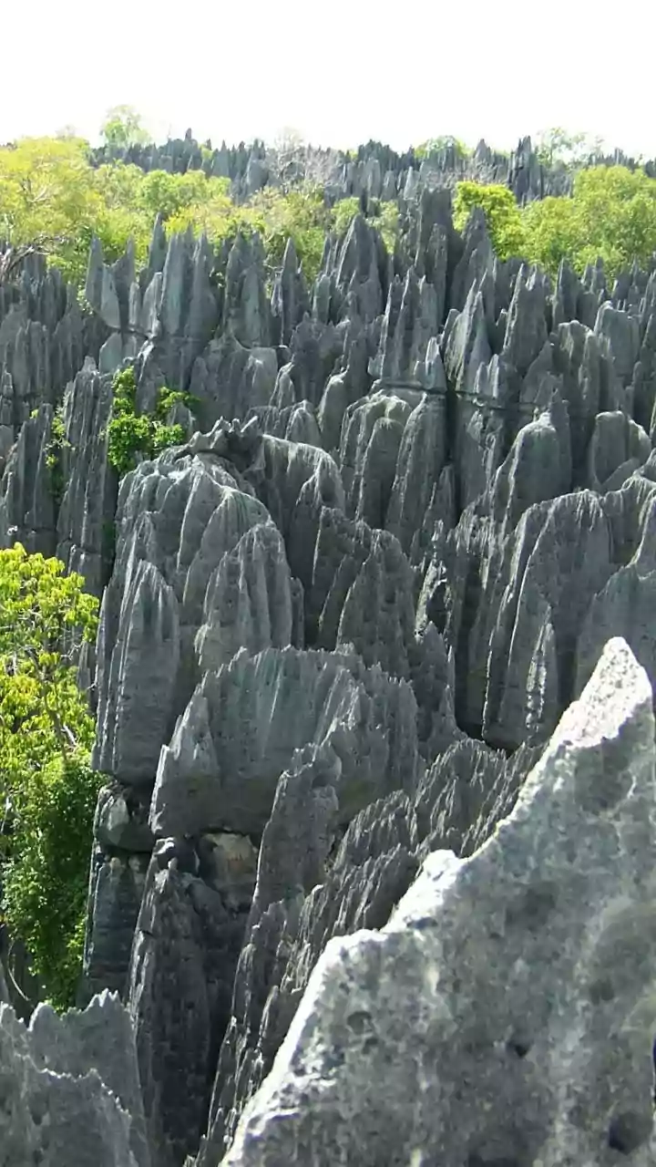 This natural wonder in Madagascar is a sight to behold