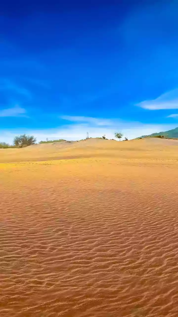 Why an early winter drive across Rajasthan offers unparalleled views of golden sand dunes and forts
