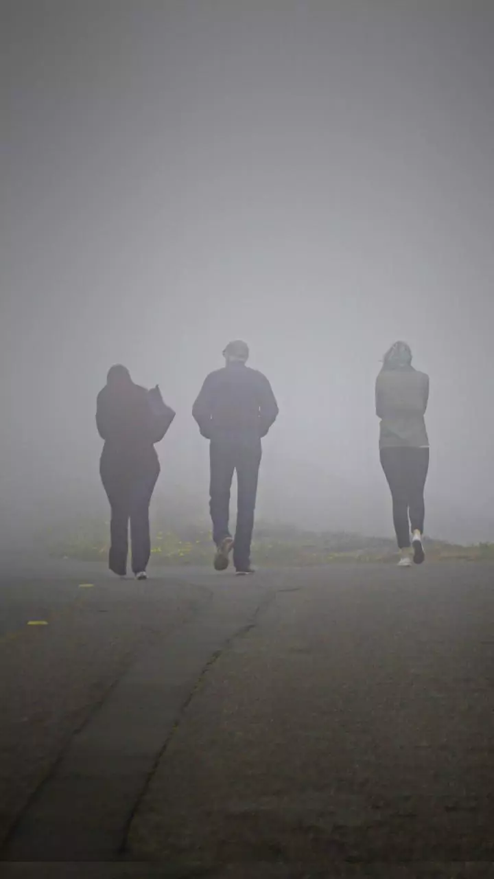 Visibility was poor when plane carrying Ajit Pawar crashed: Aviation minister