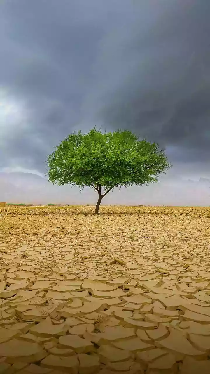 Driest June History: Inside India’s Shifting Monsoon Architecture